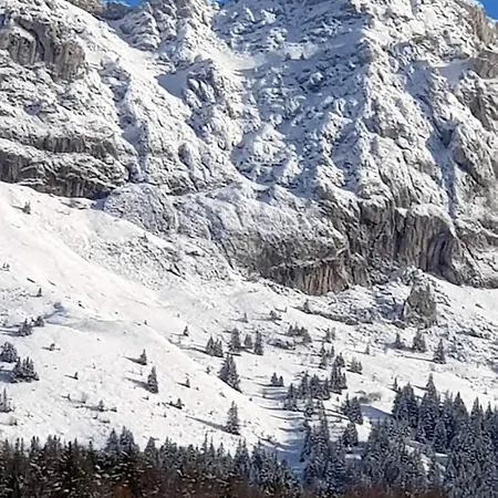 Apartment Avec Vue Sur La Montagne A De Lans 34 M²