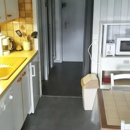 Apartment Avec Vue Sur La Montagne A De Lans 34 M² *