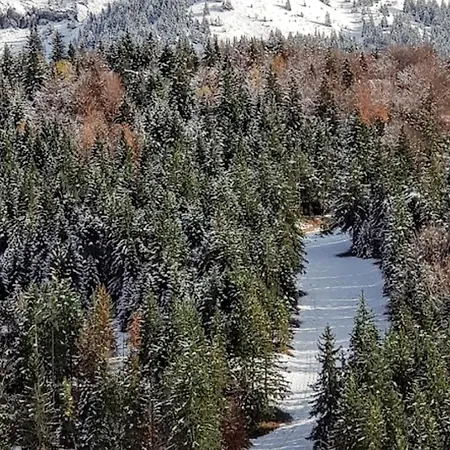 Avec Vue Sur La Montagne A De Lans 34 M² Apartment *