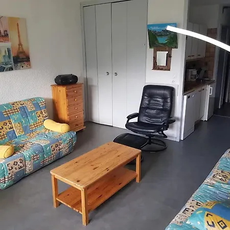 Avec Vue Sur La Montagne A De Lans - 34 M²