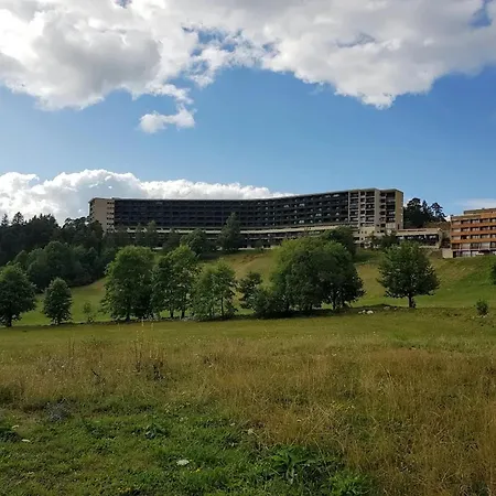 Avec Vue Sur La Montagne à De Lans - 34 M² *