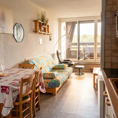 Avec Vue Sur La Montagne A De Lans - 34 M² Villard-de-Lans