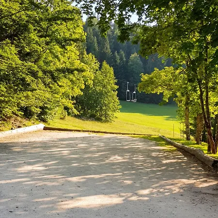 Avec Vue Sur La Montagne A De Lans - 34 M² Apartment